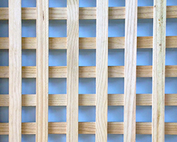 Square Trellis